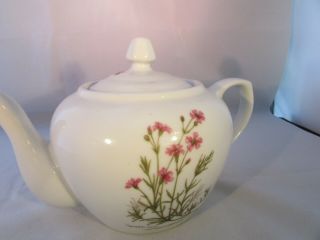 Vintage BIA Cordon Bleu White Botanical Design Ceramic Teapot 4 Cup Size 2