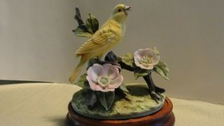 Vintage,  Andrea By Sadex,  Yellow Canary Porcelain Bird With Wood Stand