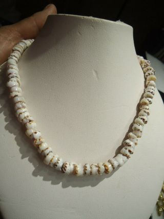 Vintage Puka Shell 15 1/2 " Brown/white Necklace
