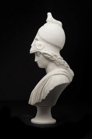 Athena the Greek Goddess of Wisdom Bust,  Marble Sculpture,  Art,  Gift. 3