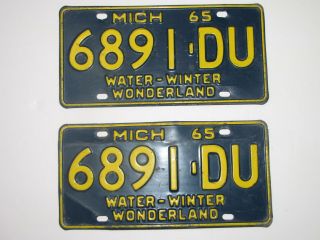 Vintage Michigan License Plates 1965 6891du