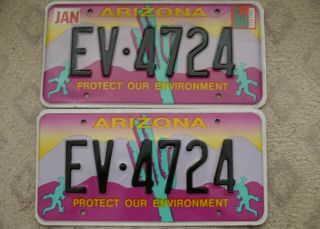 A24 - Arizona Protect Our Environment Lizards Cactus Graphics License Plate Pair