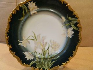 T & V.  Limoges 9 1/2 " Plate Hand Painted Orchids,  Ornate Raised Gold Trim Antique