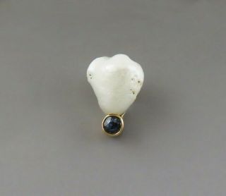 Antique C1890 14k Yellow Gold Natural Freshwater Pearl & Sapphire Stick Pin