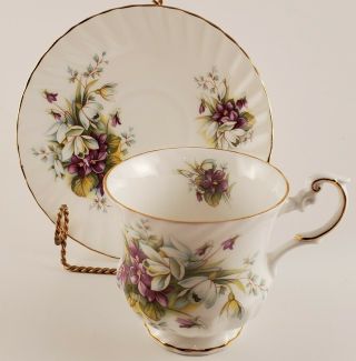 Vintage Queens February Fine Bone China Teacup And Saucer