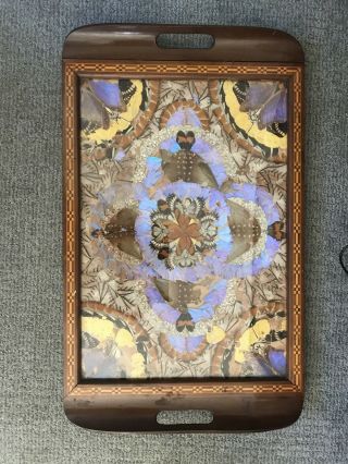 Antique/ Vintage Butterfly Wing Art Serving Tray 25 X 15.  5 X 2 Artisan