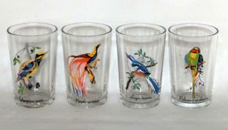 4 Vintage Kig Tropical Exotic Colorful Birds Juice Glass Tumblers Malaysia Exc
