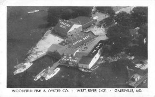 Galesville Maryland Aerial View Woodfield Fish & Oyster Co Vintage Pc Dd6532