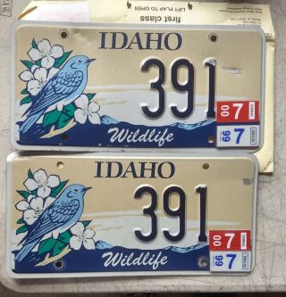 Pair Idaho Wildlife Mountain Bluebird License Plates 391 Stickers 1999 & 2000