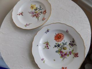 Set Of 2 Antique Hand Painted Meissen Plates With Flowers
