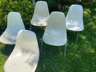 Eames By Herman Miller Fiberglass Shell Chairs