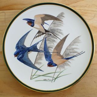 Barn Swallow,  Songbirds Of The World Large China Plate Franklin Vintage