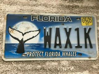 Florida License Plate Wax1k Protect Florida Whales