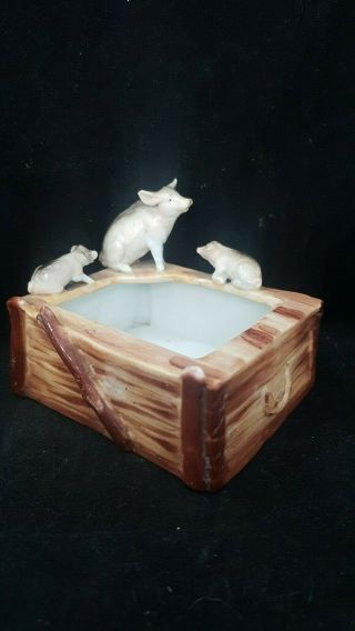 Rare Victorian Pig Fairing " Mum & 2 Piglets On A Wood Box " German Porcelain