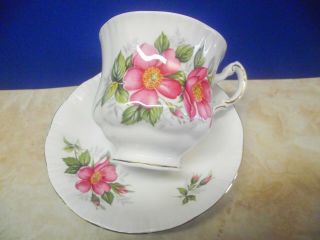 Vtg.  Paragon Tea Cup & Saucer Prairie Rose Canadian Provincial Flowers England