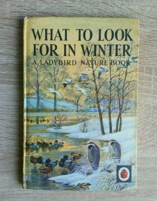 What To Look For In Winter Vintage Ladybird Nature Small Hardback Book (1959)