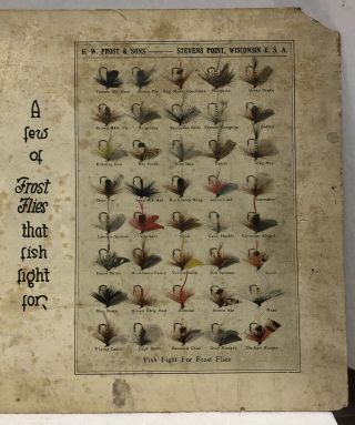 G.  W.  Frost & Sons Trout Fly Bait Store Display Chart Stevens Point WI 17” x 11” 3