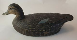 Vintage Ben Schmidt Style Black Duck Decoy Wooden