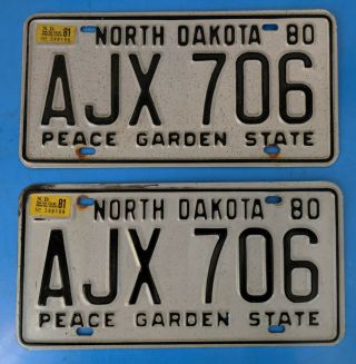 North Dakota License Plate 1980 Pair Peace Garden Ajx - 706