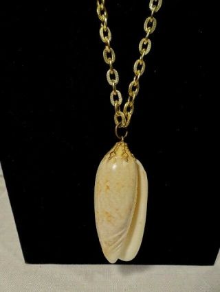 Vintage Large Natural Lettered Olive Seashell Pendant Necklace 18 "