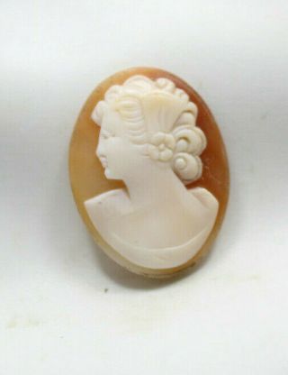 Vintage Art Deco Carved Shell Cameo Loose High Relief Carved Unmounted 25.  3mm