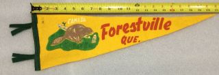 Vintage 1950 - 60’s Forestville Quebec 21” Felt Pennant W Wildlife Beaver