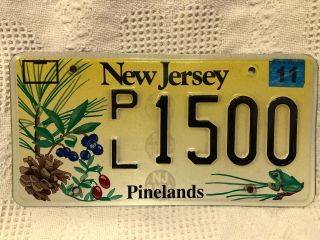 Jersey Auto License Plate Pinelands
