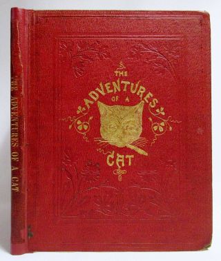 Antique 1857 The Adventures Of A Cat Anthropomorphic Children 