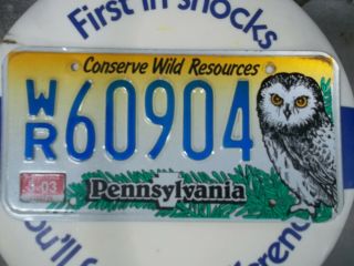 Pennsylvania Conserve Wild Resources License Plate Owl