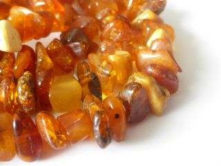 Fine Vintage Natural Baltic Amber Bead Necklace 27 