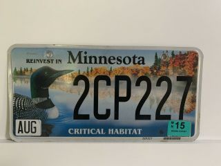 Minnesota Critical Habitat Loon Duck Wildlife License Plate " 2cp227 " Mn 15