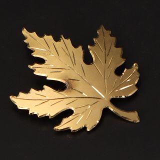 Vtg Sterling Silver - Signed Etched Maple Leaf Solid Gold Brooch Pin - 5g
