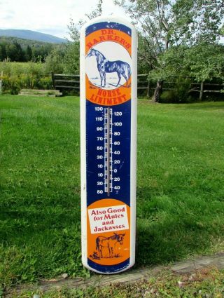 Vintage Dr Barkers Horse Liniment Tin 39 " Thermometer Good For Mules/jackasses