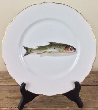 Antique Limoges 9” Porcelain Dinner Plate Hand Painted Fish Signed Cfh 5