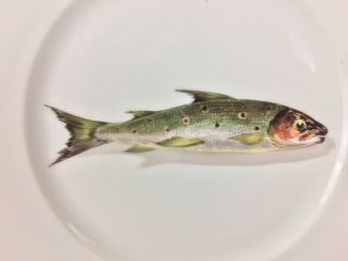 Antique Limoges 9” Porcelain Dinner Plate Hand Painted Fish Signed CFH 5 2