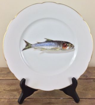 Antique Limoges 9” Porcelain Dinner Plate Hand Painted Fish Signed Cfh 7
