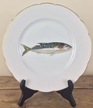 Antique Limoges 9” Porcelain Dinner Plate Hand Painted Fish Signed Cfh 1