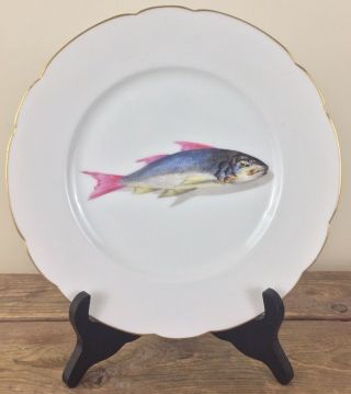 Antique Limoges 9” Porcelain Dinner Plate Hand Painted Fish Signed Cfh 2