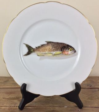 Antique Limoges 9” Porcelain Dinner Plate Hand Painted Fish Signed Cfh 6
