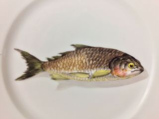 Antique Limoges 9” Porcelain Dinner Plate Hand Painted Fish Signed CFH 6 2