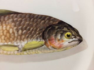 Antique Limoges 9” Porcelain Dinner Plate Hand Painted Fish Signed CFH 6 3
