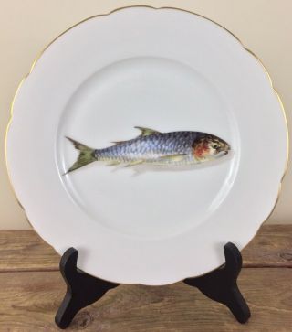 Antique Limoges 9” Porcelain Dinner Plate Hand Painted Fish Signed Cfh 3
