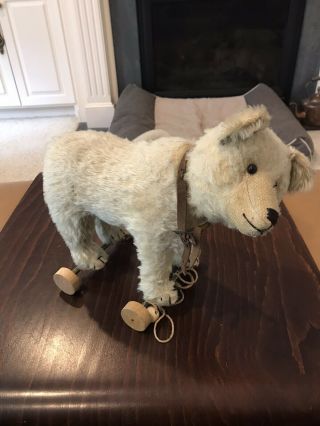 Antique Mohair Hard Stuffed Polar Bear Pull Toy On Wood Wheels - Steiff?