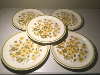 Vintage Spring Bouquet Stoneware 10.  5” Dinner Plates Set Of 5 - - Japan