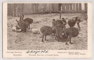 Vintage Postcard Set Of 2 Barracluff 