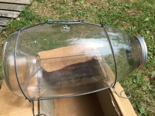 vintage orvis glass minnow trap 2
