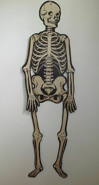 Vintage Die Cut Halloween Jointed Skeleton 55 " U.  S.  A.  Possible Beistle