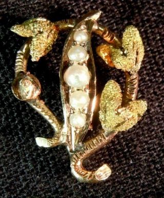 Antique 14k Yellow Gold Lapel Pin With Rice Pearls Appraised At $290