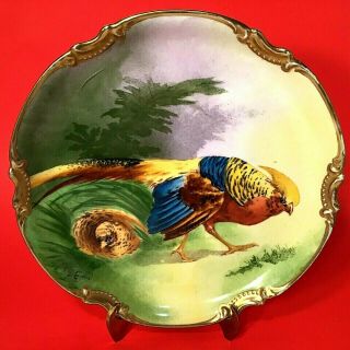 Antique Coronet Limoges Bird Plate Hand Painted Artist Signed Pheasant 10 1/2 "