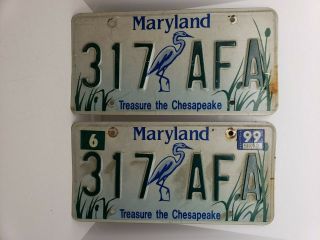 Maryland License Plates Treasure Of The Chesapeake Heron 1999